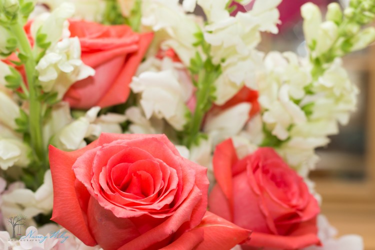 Karen_Virginia_Beach_Wedding_Photographer-74