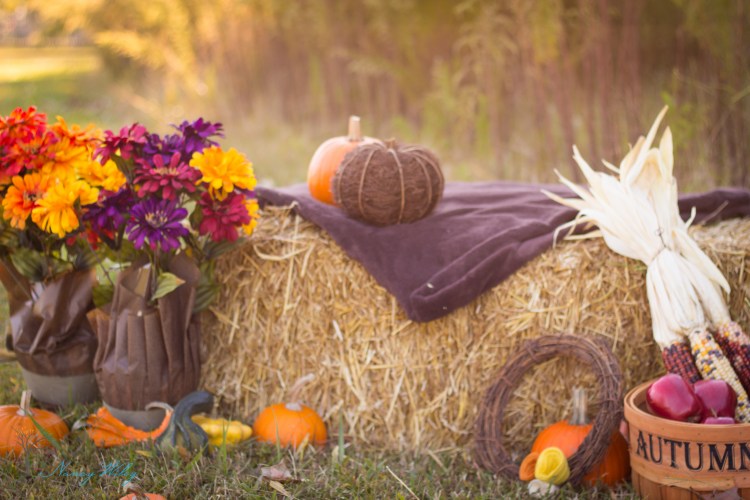 Preston_Fall_FB_VA_Beach_Photographer-2