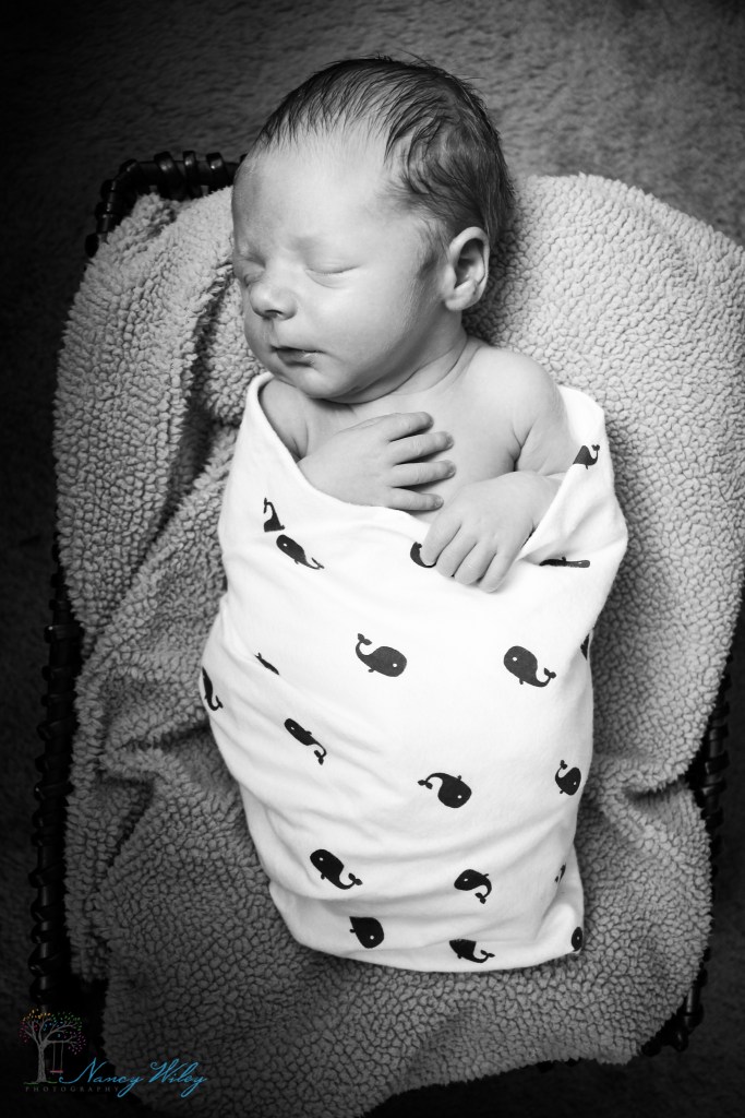 Colton_VA_Beach_Newborn_Photographer-32