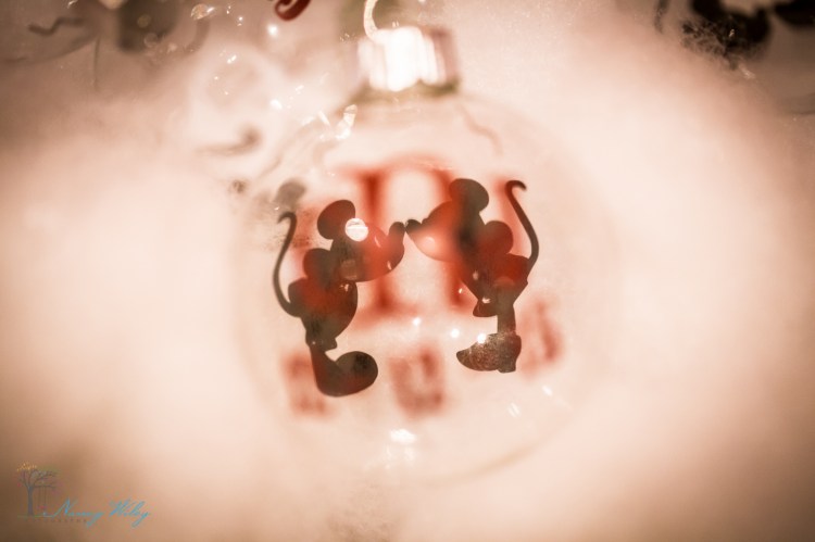 Gordon-Rausch_VA_Beach_Photographer-140