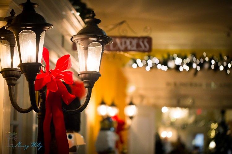 Gordon-Rausch_VA_Beach_Photographer-144